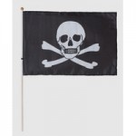 Steag Pirat - Craniu