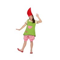 Costum Elf fetite 5-6 ani